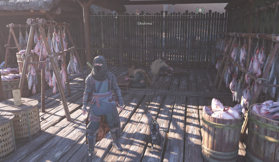 Assassin's Creed Shadow Cat Island Map location cat food